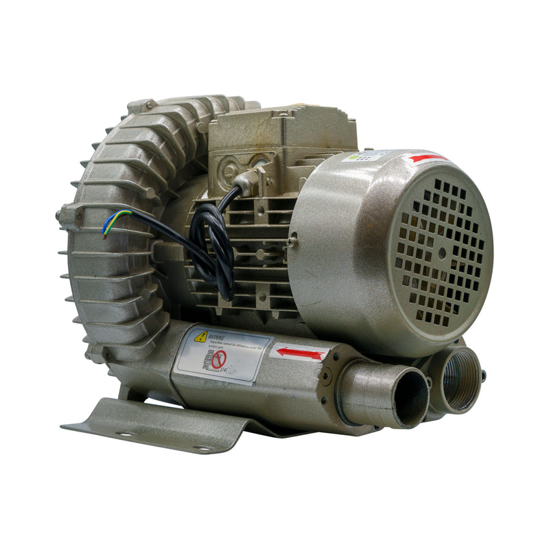 Roadrunner/Raptor II Dryer Vacuum Pump